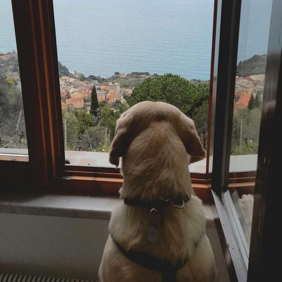 Ostello Ninin De Ma' Framura Kültér fotó